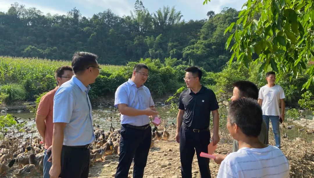 村集體經(jīng)濟5 村集體經(jīng)濟5