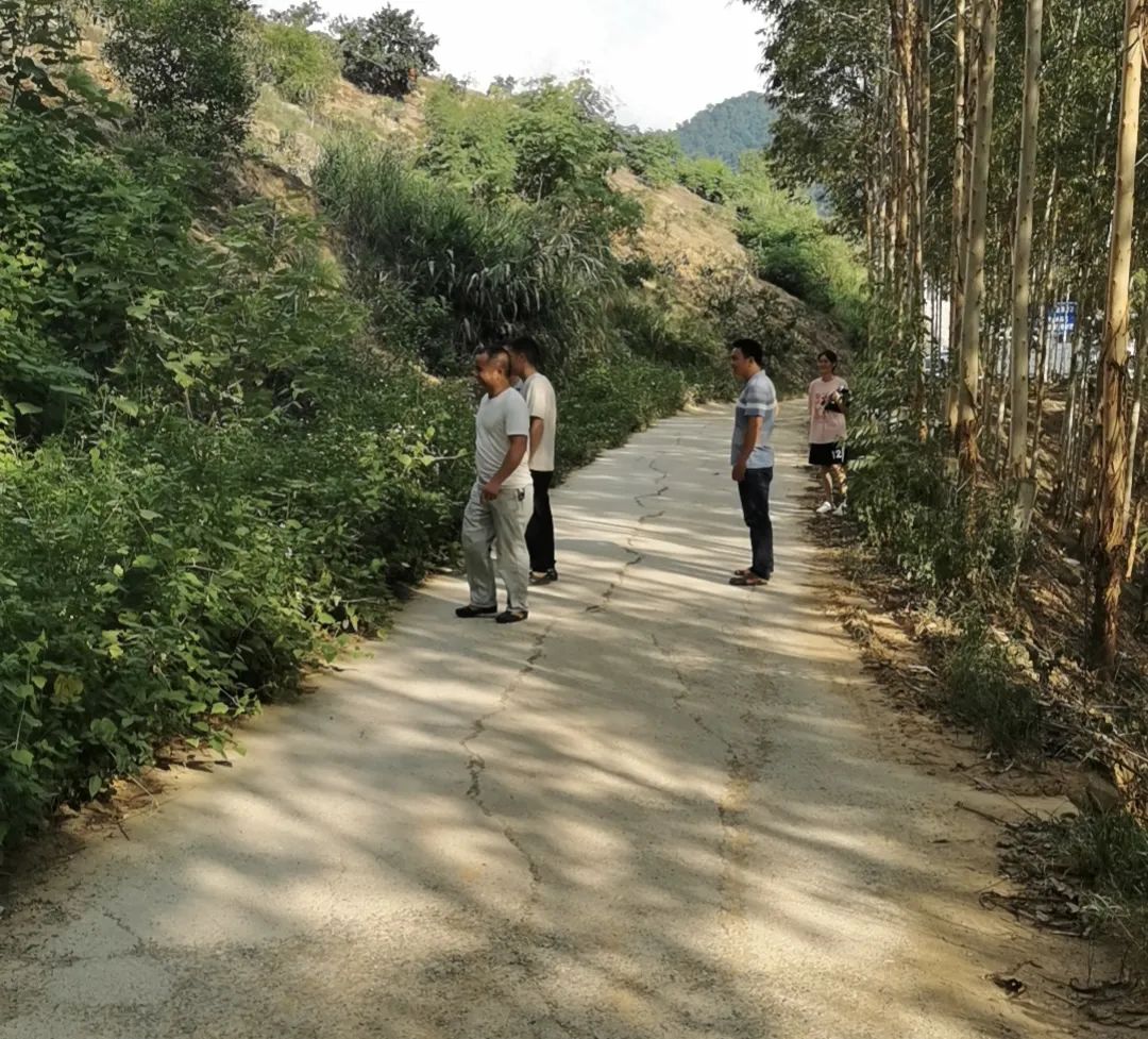 汪鄉調研3 汪鄉調研3