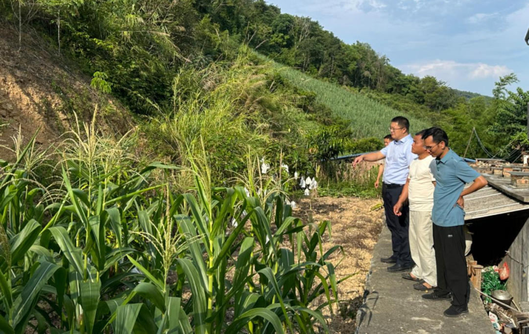 汪鄉調研4 汪鄉調研4
